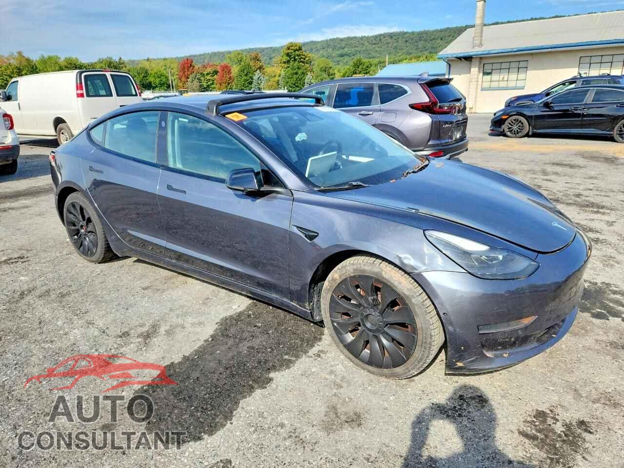 TESLA MODEL 3 2021 - 5YJ3E1EA1MF026815