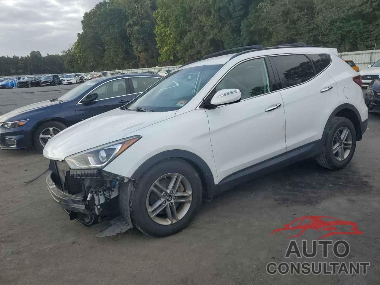 HYUNDAI SANTA FE 2018 - 5NMZUDLB7JH053490