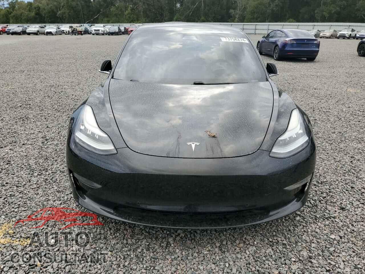 TESLA MODEL 3 2019 - 5YJ3E1EA2KF445219