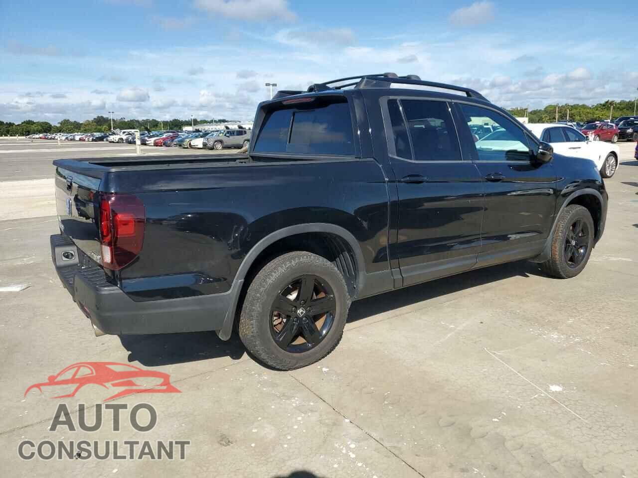 HONDA RIDGELINE 2021 - 5FPYK3F85MB017306