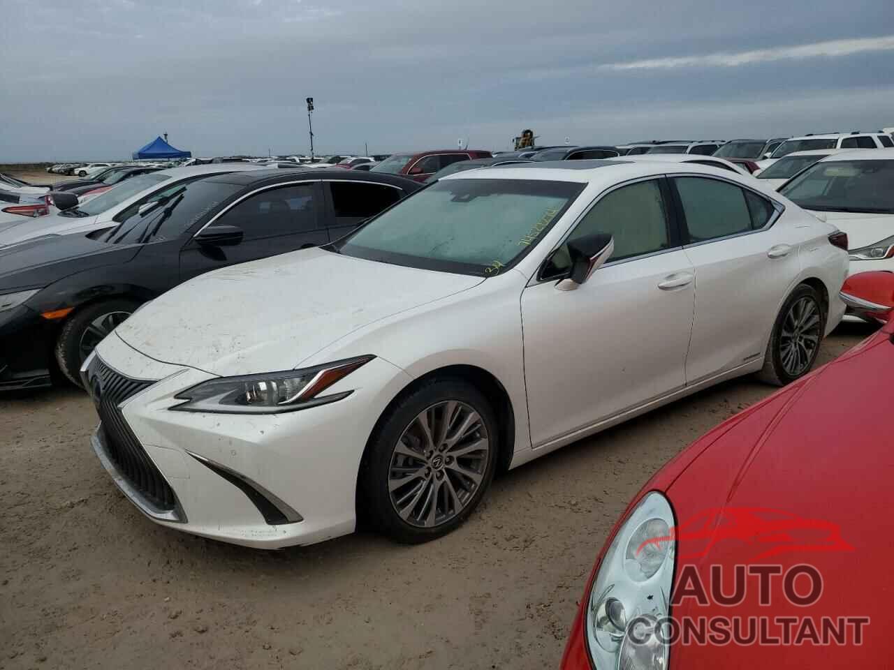 LEXUS ES300 2019 - JTHB21B18K2037835