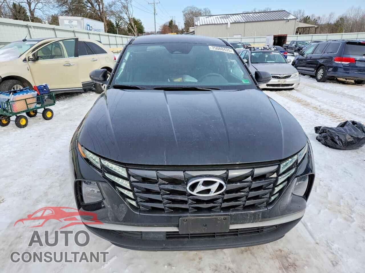HYUNDAI TUCSON 2024 - 5NMJBCDE9RH302888