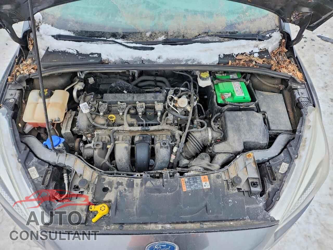 FORD FOCUS 2017 - 1FADP3F20HL324167