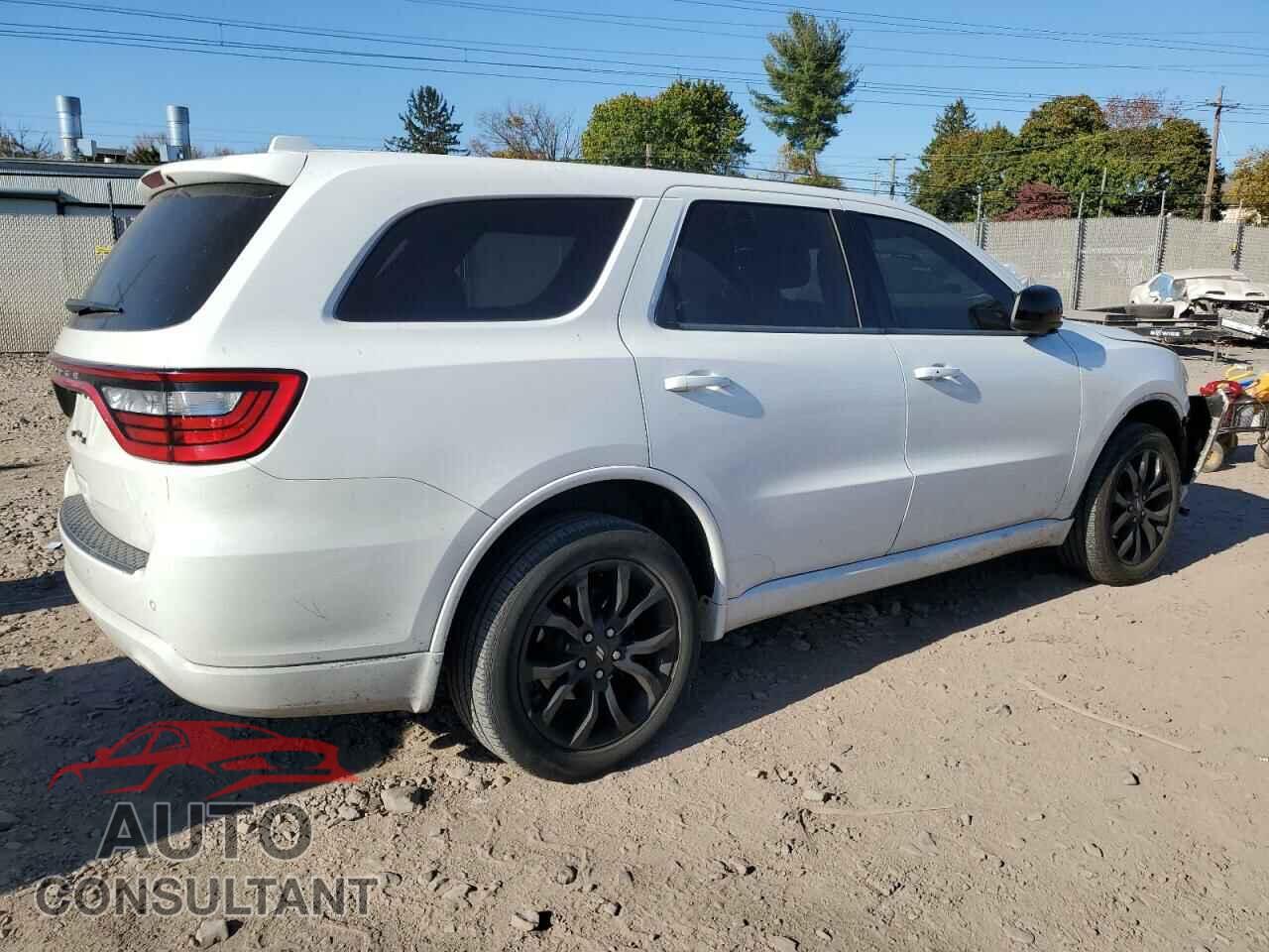 DODGE DURANGO 2019 - 1C4RDJAG9KC755596