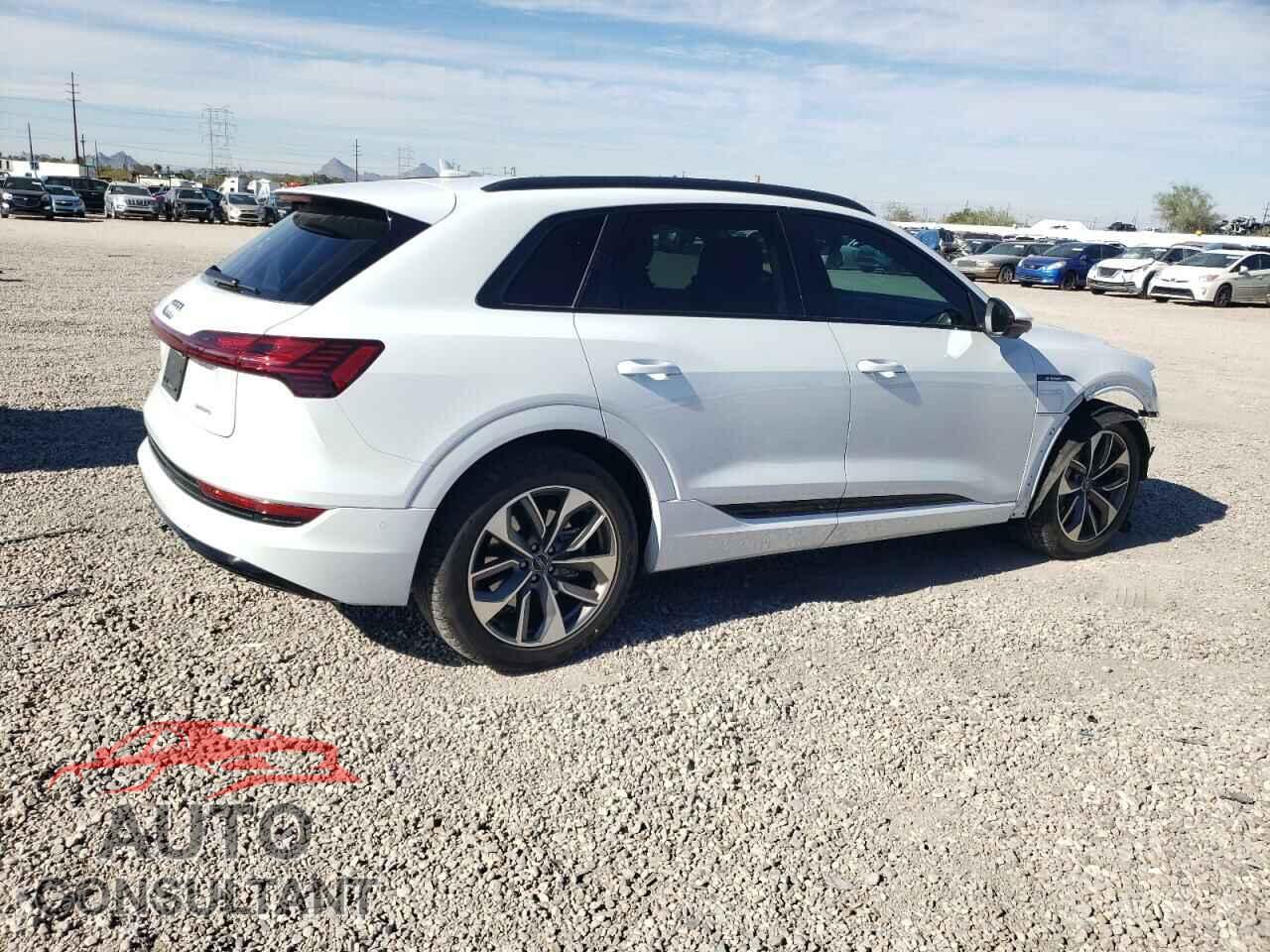 AUDI E-TRON 2021 - WA1LAAGE6MB002339