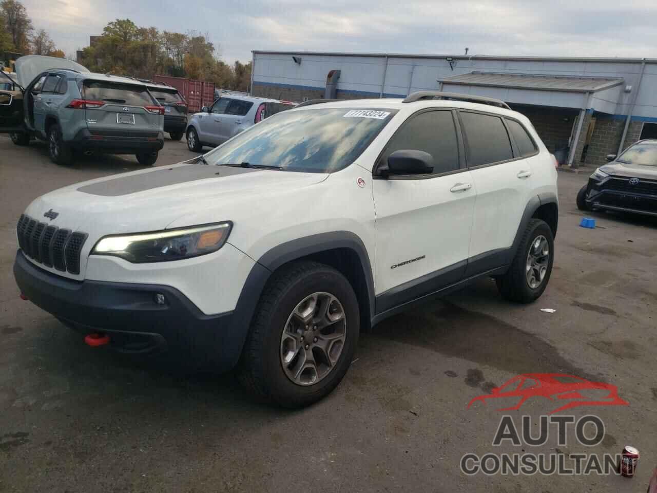 JEEP CHEROKEE 2019 - 1C4PJMBX8KD216865