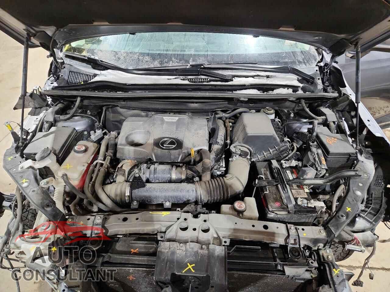 LEXUS NX 2019 - JTJBARBZ2K2200372