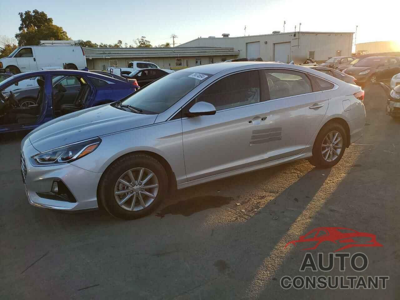 HYUNDAI SONATA 2019 - 5NPE24AF2KH805594
