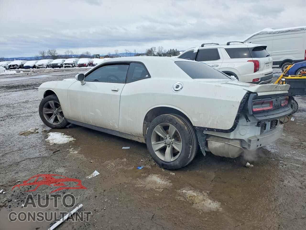 DODGE CHALLENGER 2019 - 2C3CDZAG6KH524659