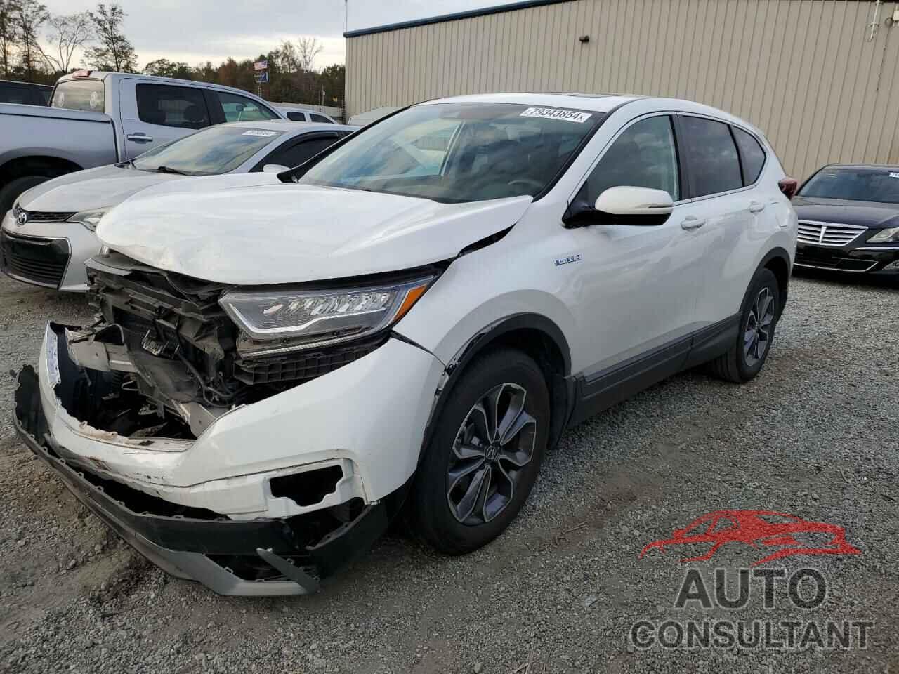 HONDA CRV 2022 - 5J6RT6H81NL037683