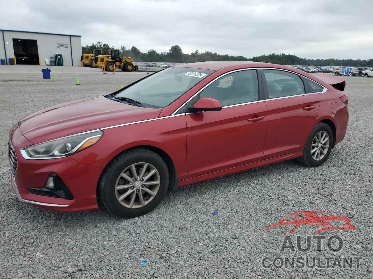 HYUNDAI SONATA 2019 - 5NPE24AF3KH788384