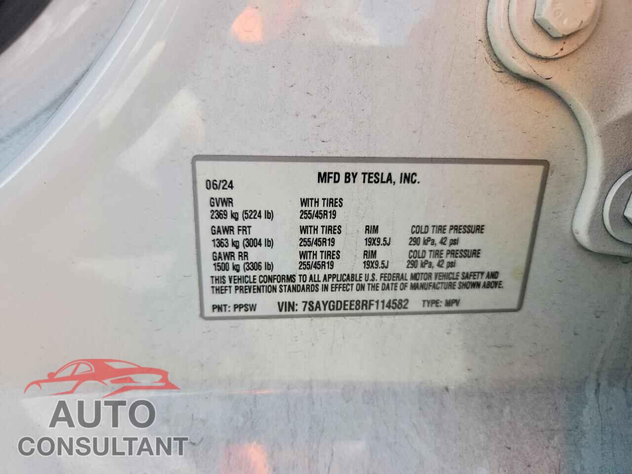 TESLA MODEL Y 2024 - 7SAYGDEE8RF114582