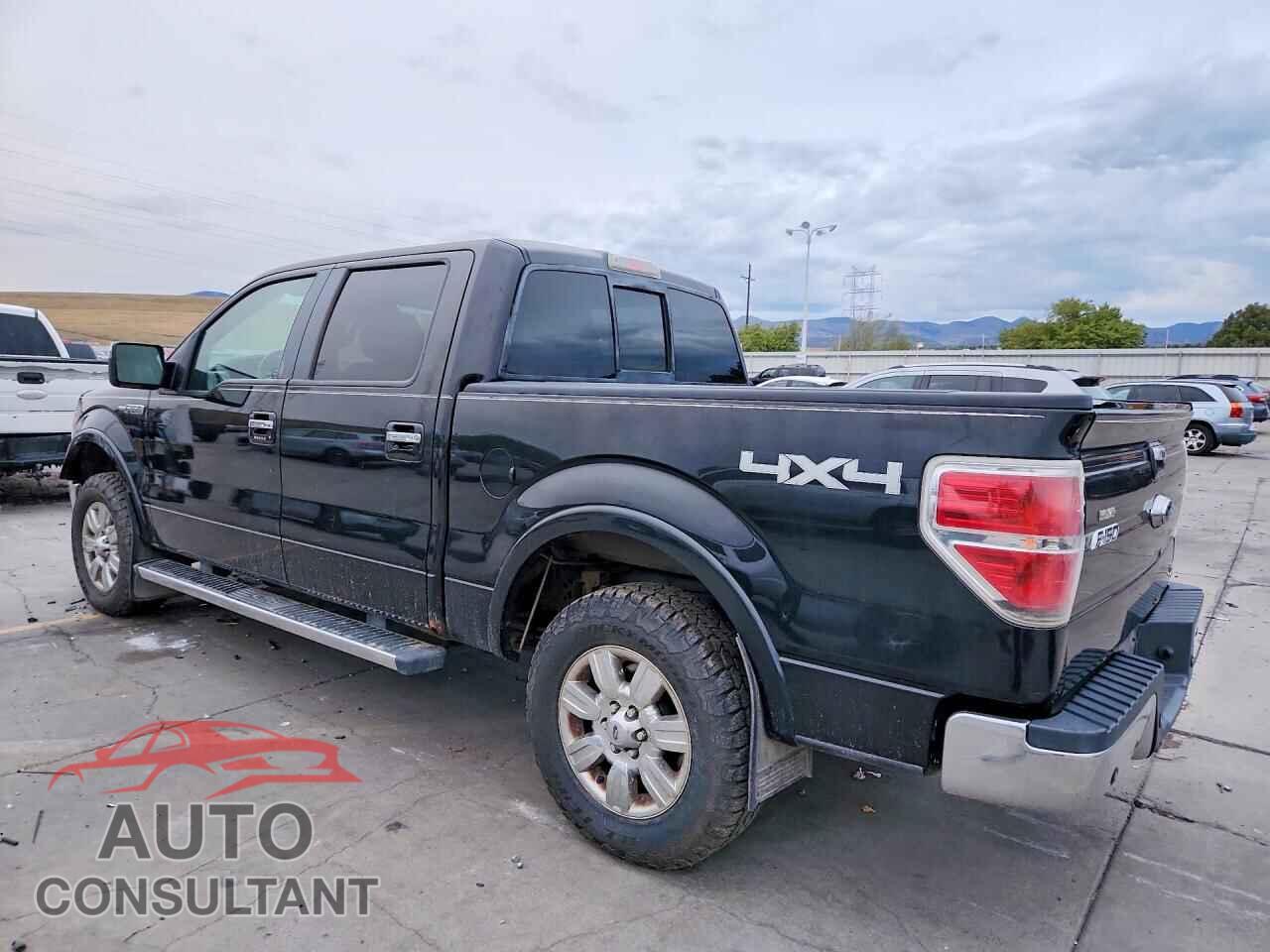 FORD F150 2010 - 1FTFW1EV3AFC92745