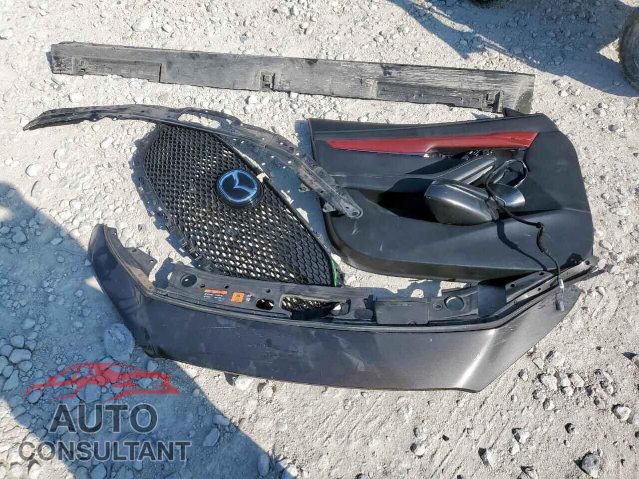 MAZDA 3 2019 - JM1BPANM9K1116607