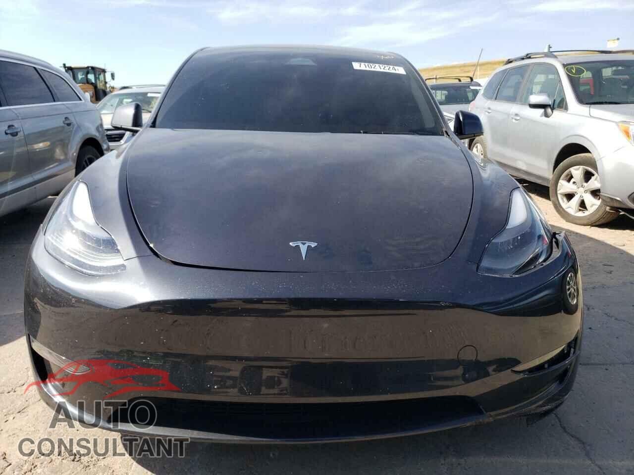 TESLA MODEL Y 2024 - 7SAYGDEE3RF075092