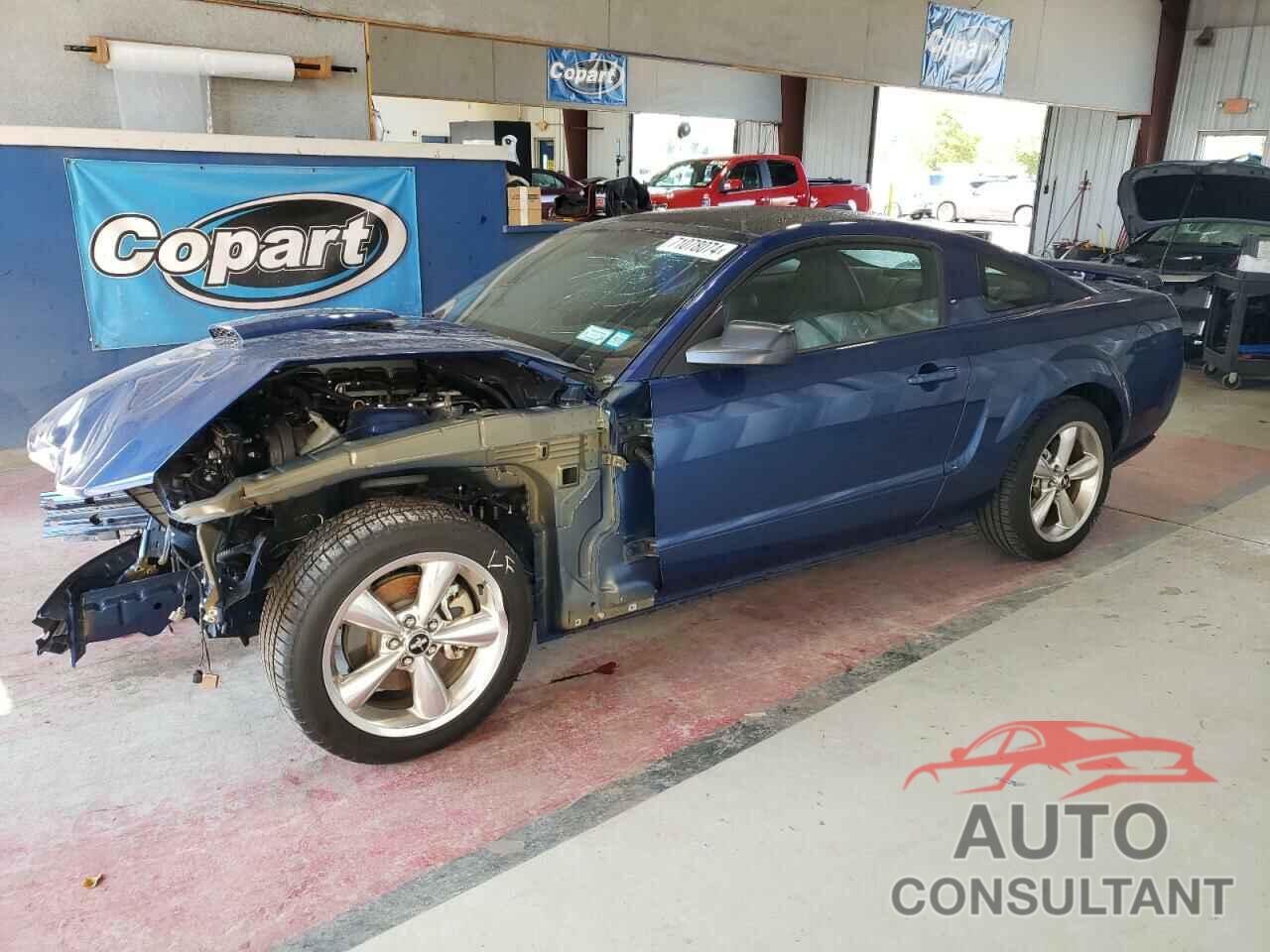 FORD MUSTANG 2009 - 1ZVHT82H995123904