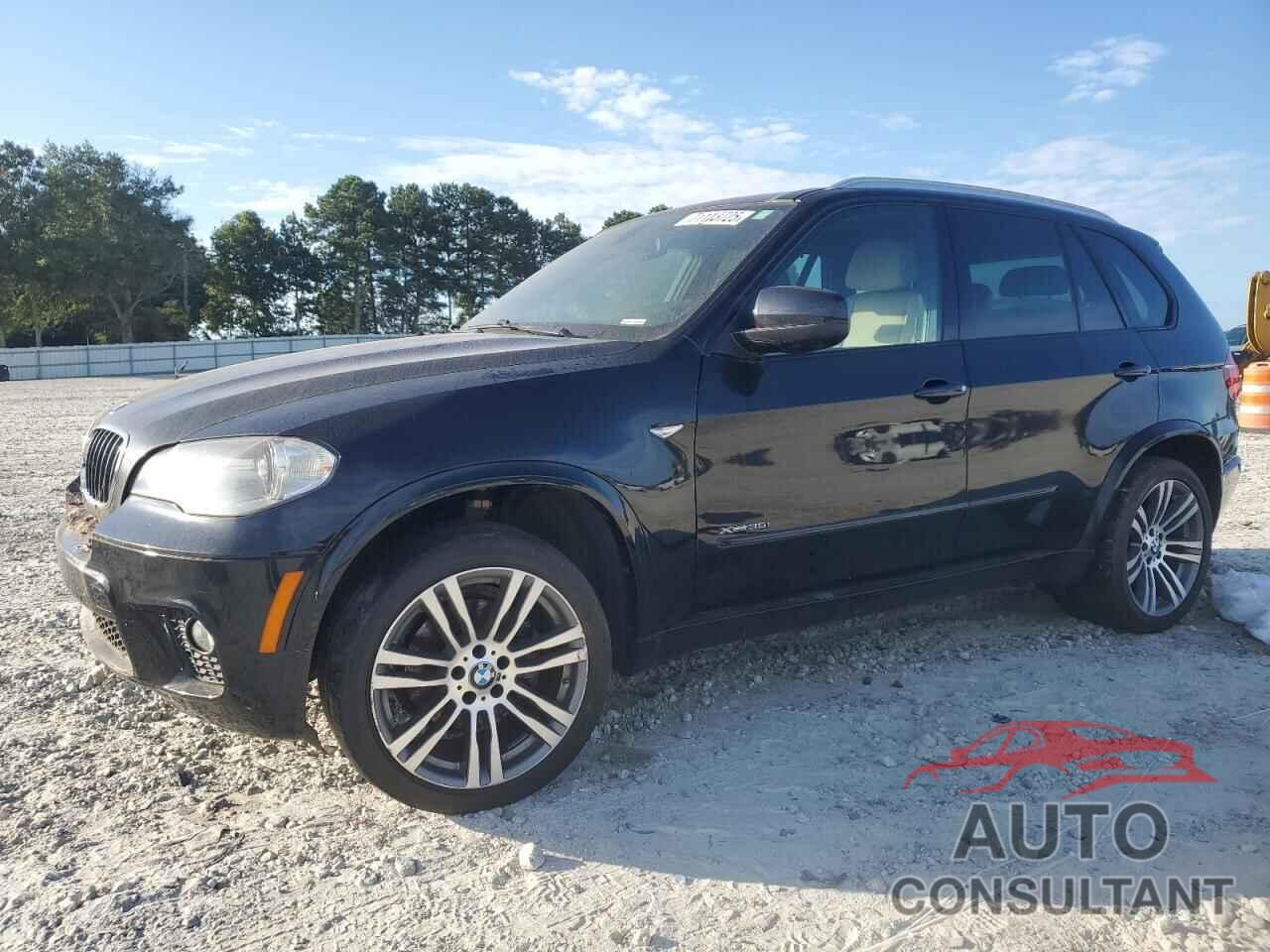 BMW X5 2013 - 5UXZV4C50D0B17494
