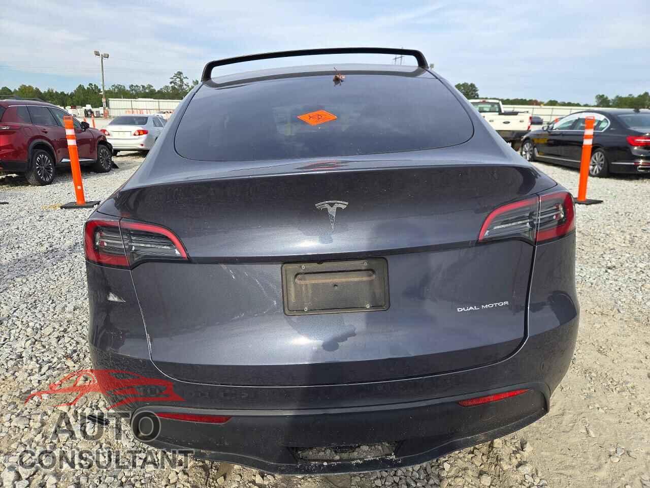 TESLA MODEL Y 2023 - 7SAYGAEE5PF842615