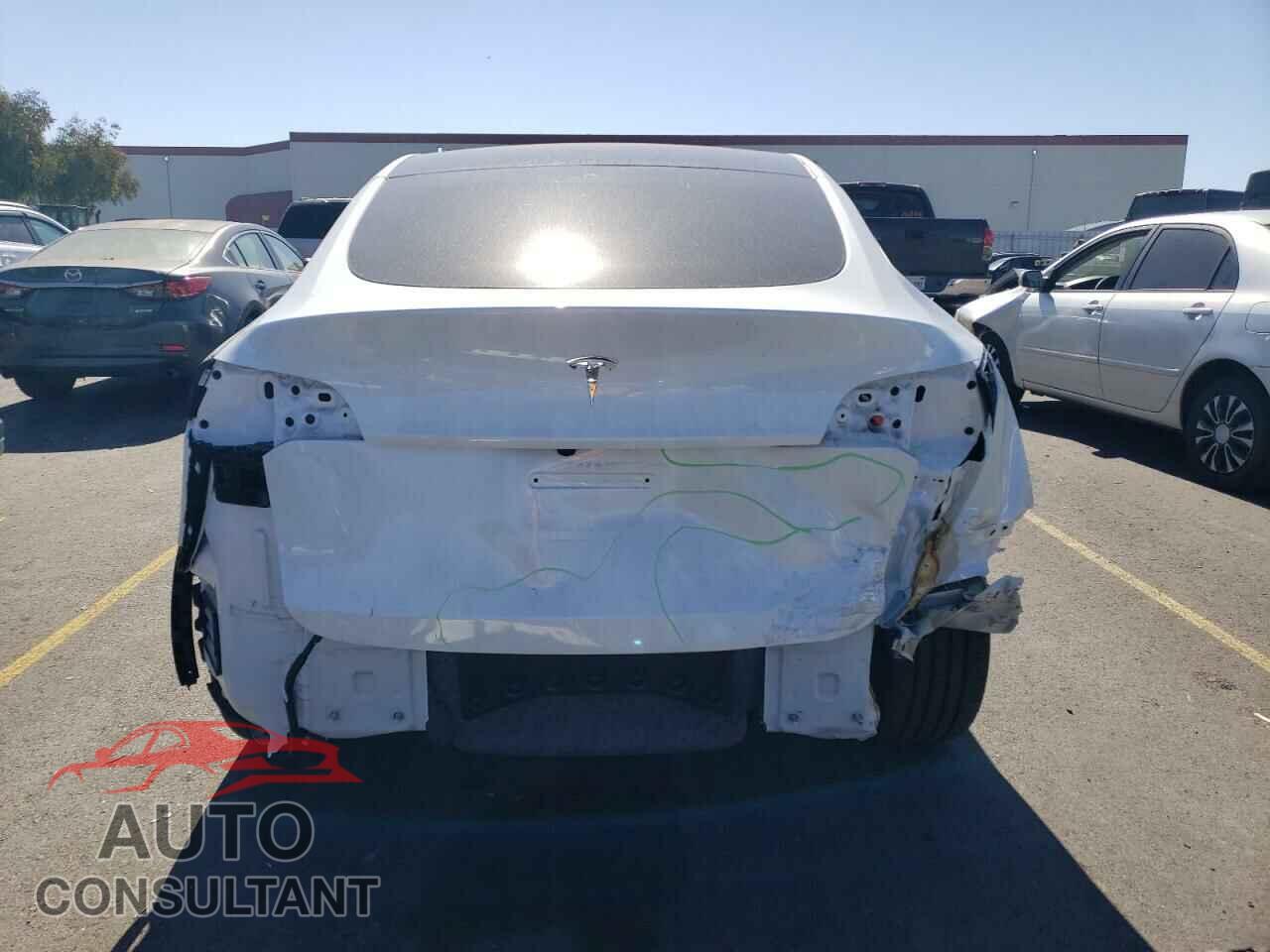 TESLA MODEL Y 2024 - 7SAYGDED5RF080253