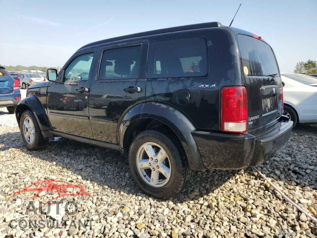 DODGE NITRO 2011 - 1D4PU4GX9BW529513