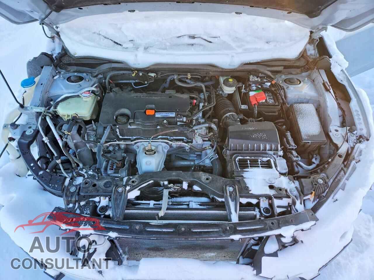 HONDA CIVIC 2019 - 2HGFC2F87KH532405