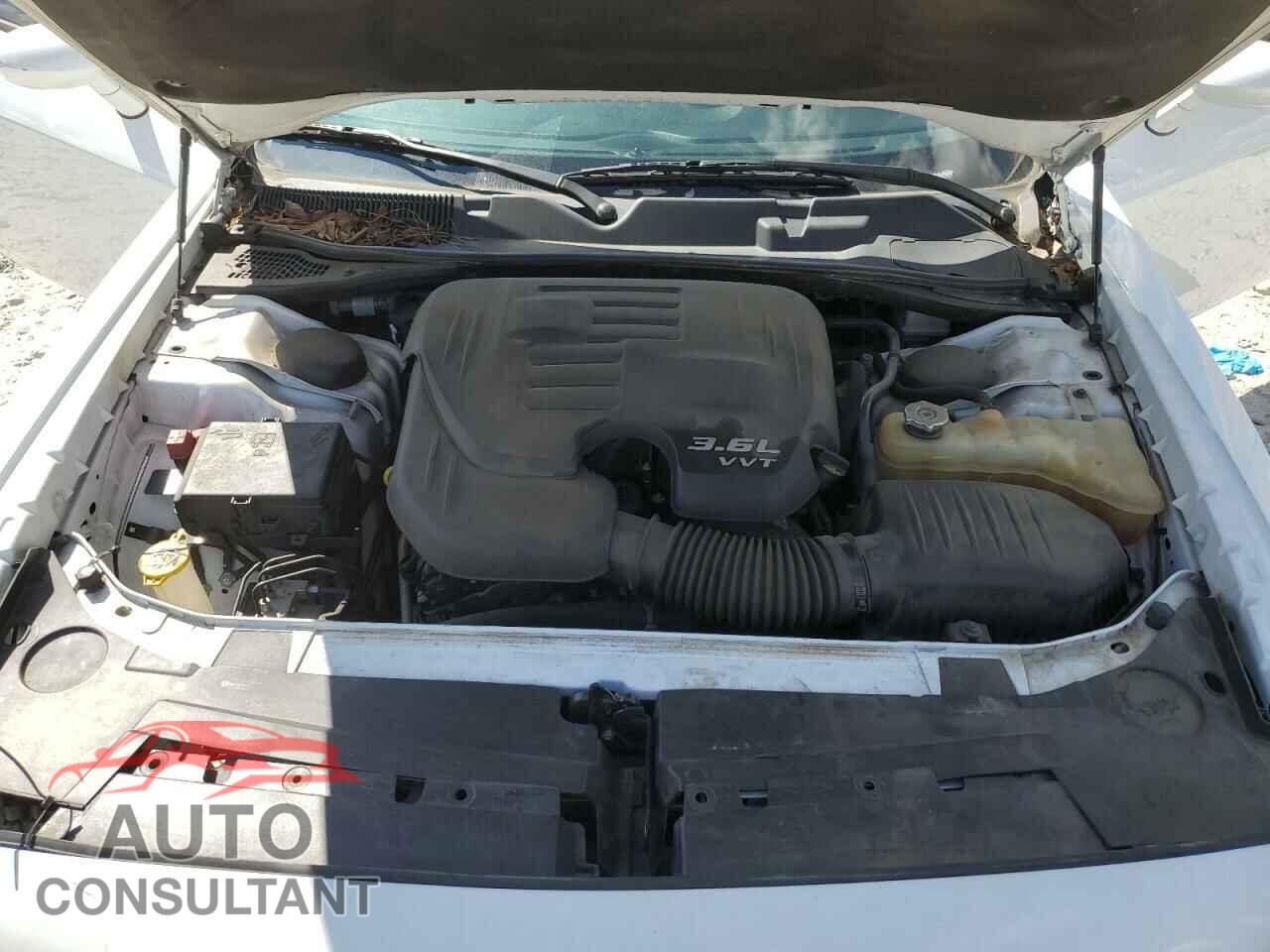 DODGE CHALLENGER 2019 - 2C3CDZAG6KH752418