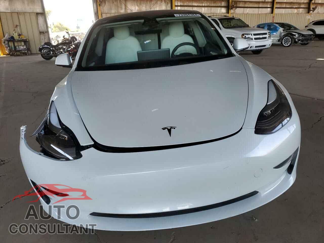 TESLA MODEL 3 2021 - 5YJ3E1EA5MF053841