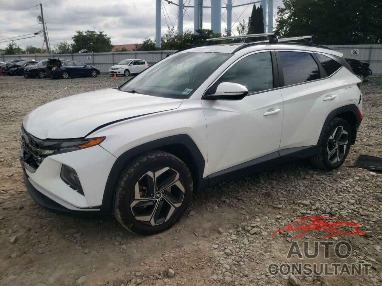 HYUNDAI TUCSON 2022 - 5NMJCCAE2NH055581