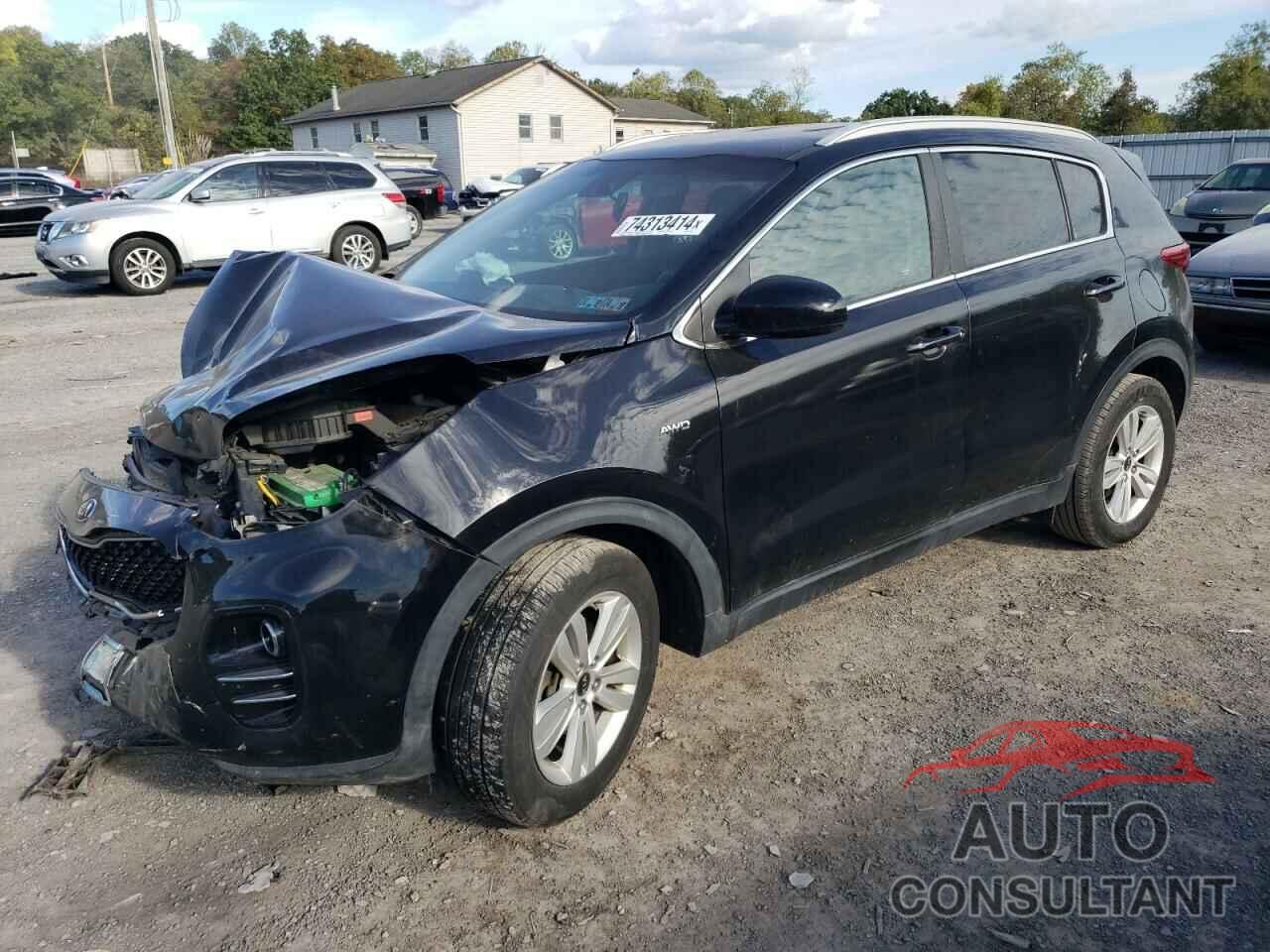 KIA SPORTAGE 2017 - KNDPMCAC8H7293386