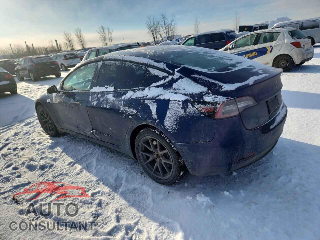 TESLA MODEL 3 2021 - 5YJ3E1EA0MF031133