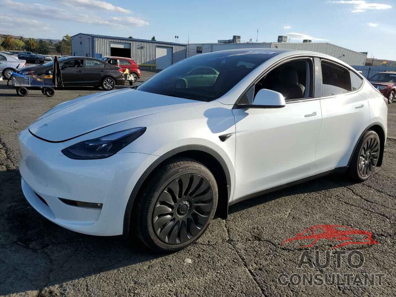 TESLA MODEL Y 2024 - 7SAYGDEE1RF176745