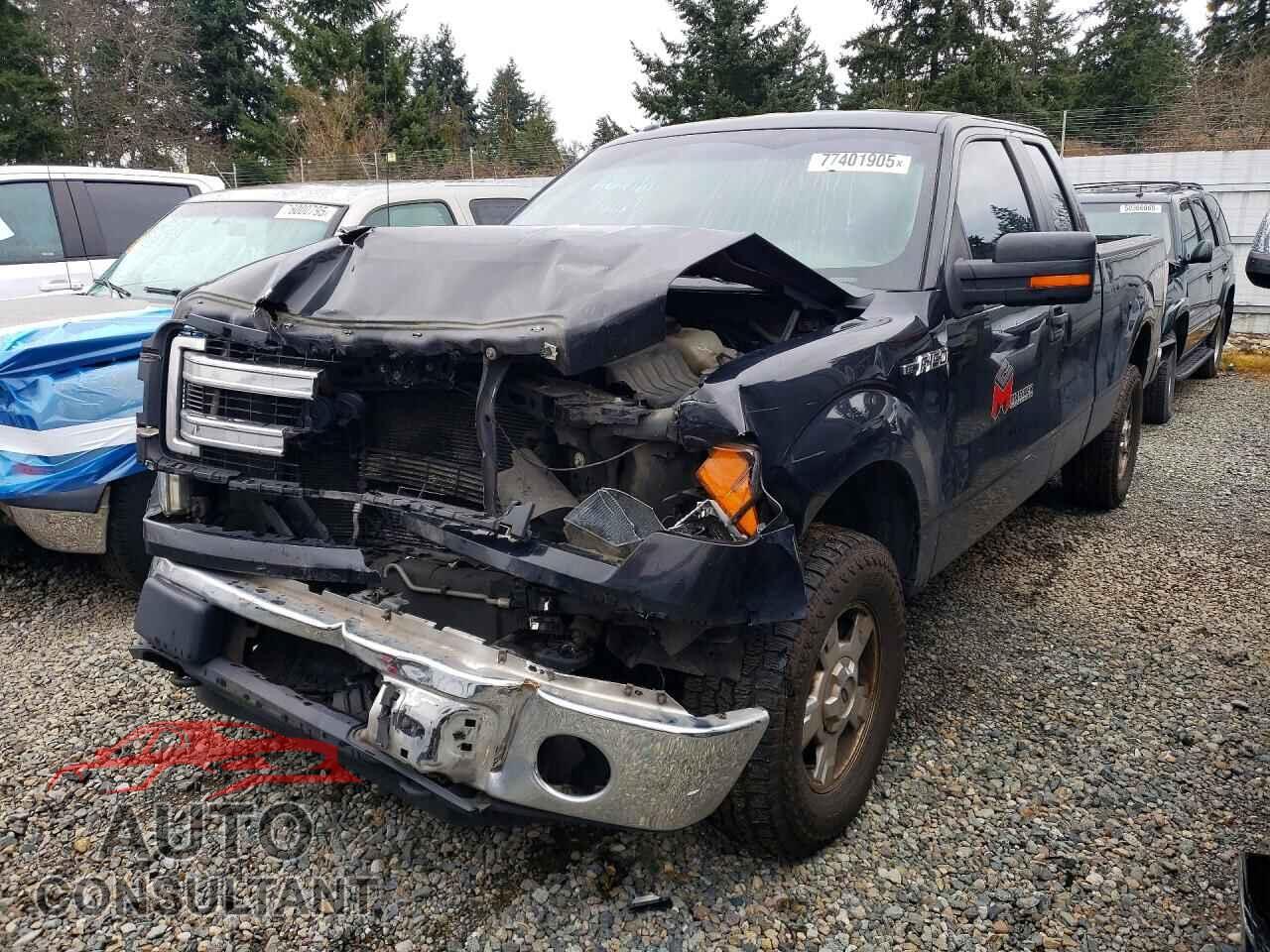 FORD F-150 2013 - 1FTFX1EF1DFD56629