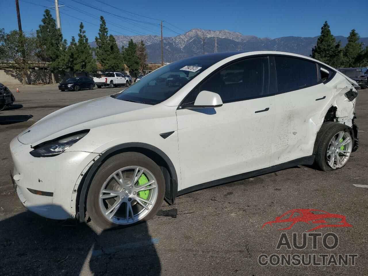 TESLA MODEL Y 2021 - 5YJYGAEE6MF216855