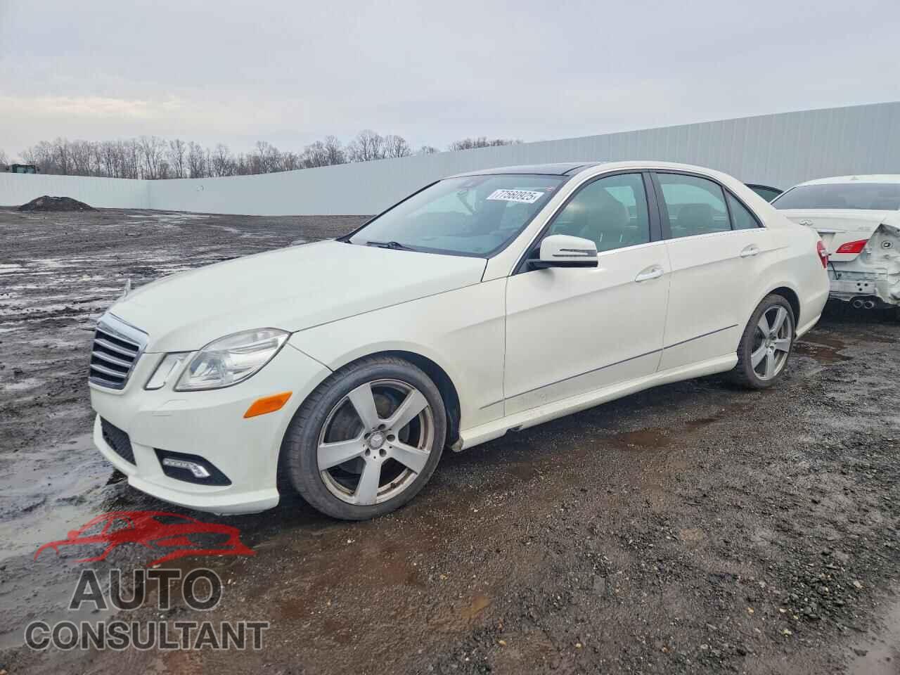MERCEDES-BENZ E-CLASS 2010 - WDDHF5GB7AA183775