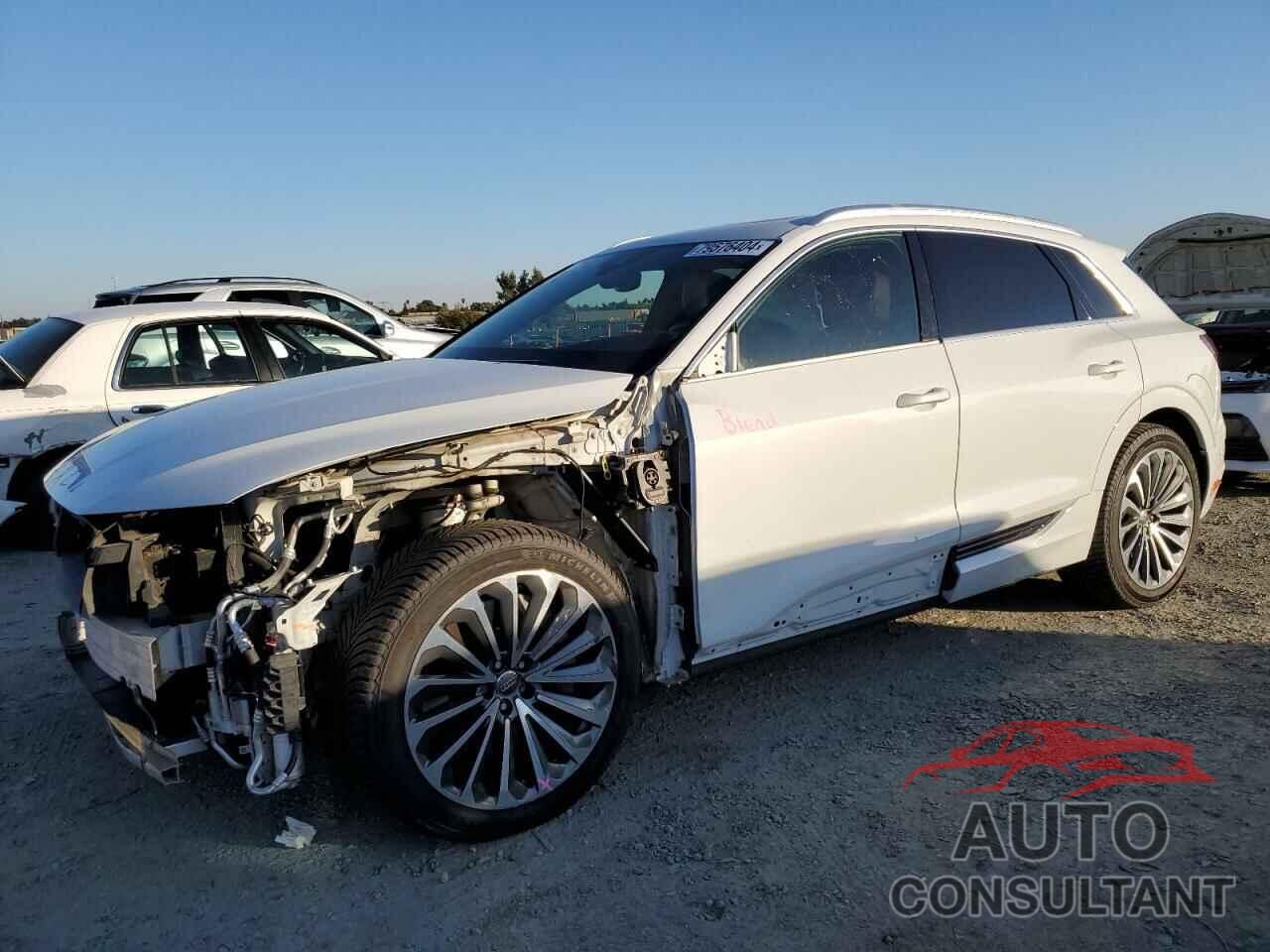 AUDI E-TRON 2019 - WA1VABGE9KB025139