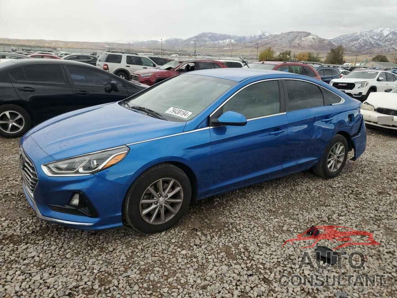 HYUNDAI SONATA 2019 - 5NPE24AF5KH755077