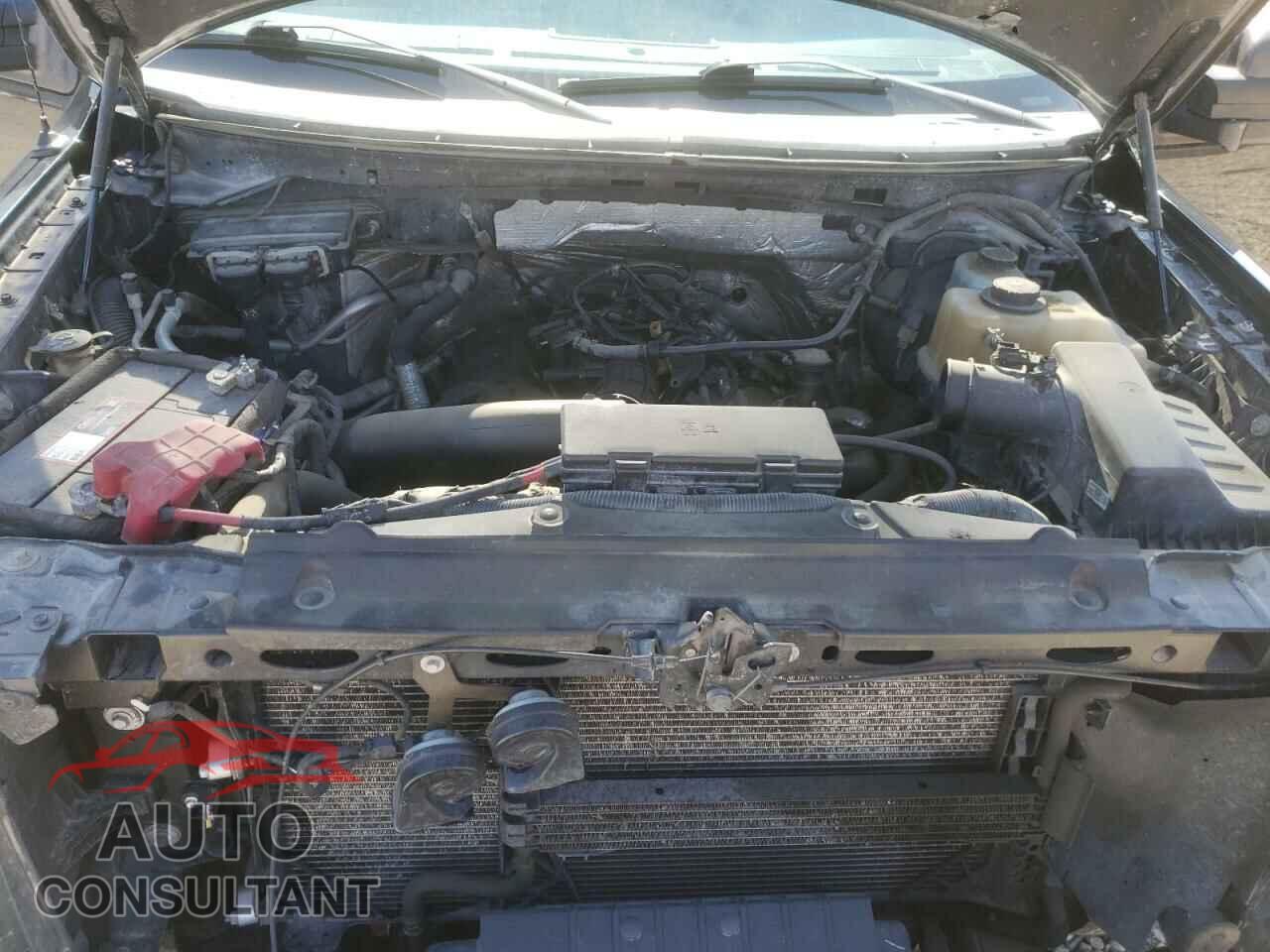 FORD F-150 2012 - 1FTFX1ET7CFB30700
