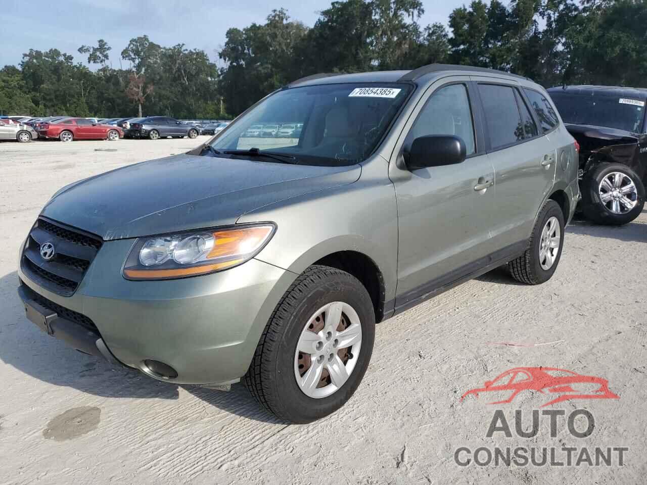 HYUNDAI SANTA FE 2009 - 5NMSG13D49H305023
