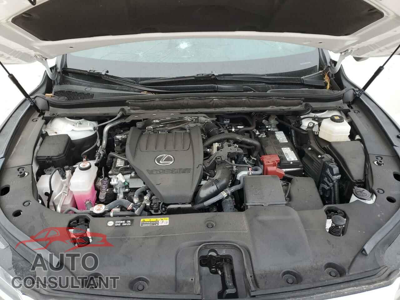 LEXUS RX350 2023 - 2T2BAMBA5PC002745