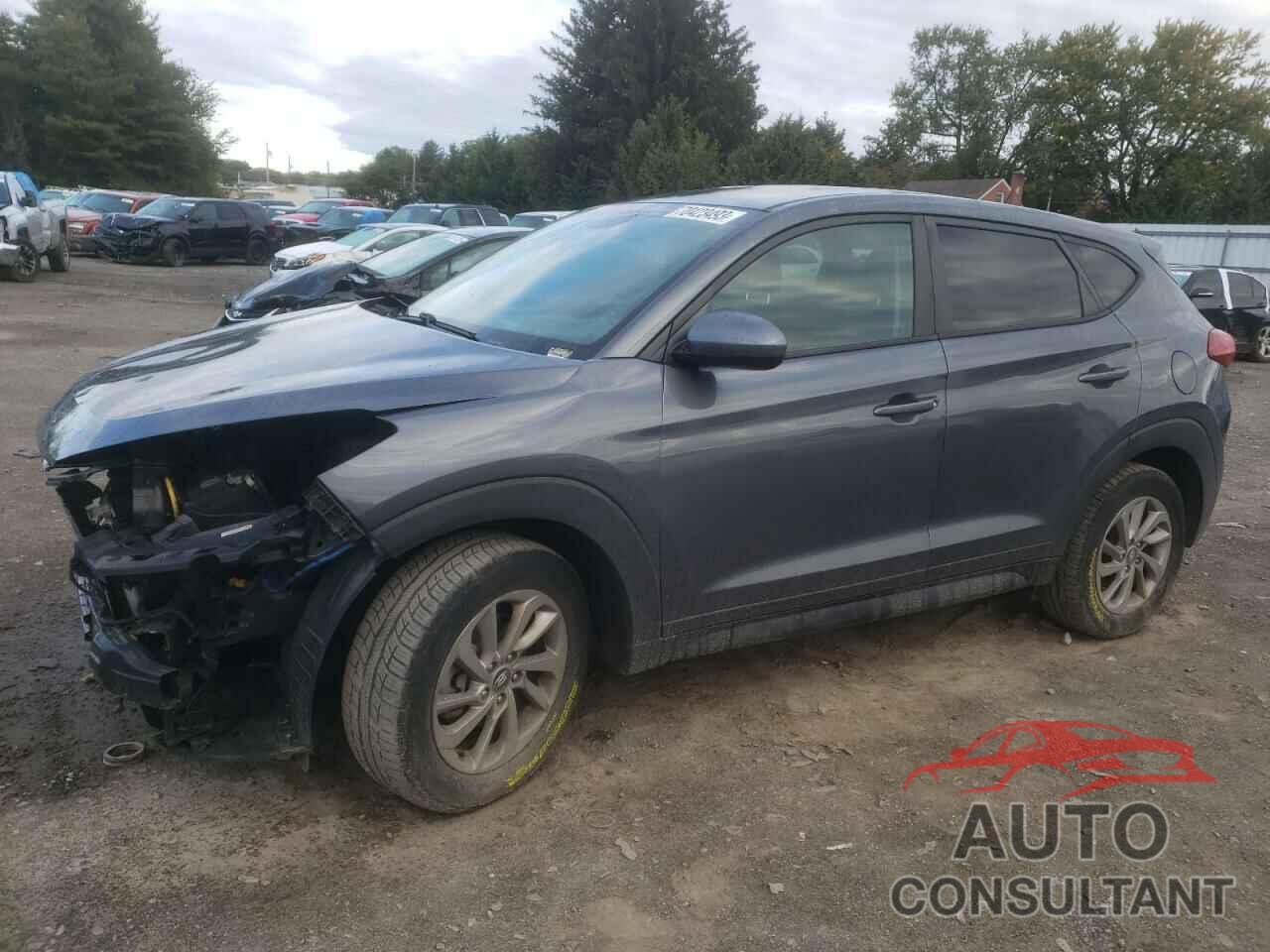 HYUNDAI TUCSON 2017 - KM8J23A41HU387014