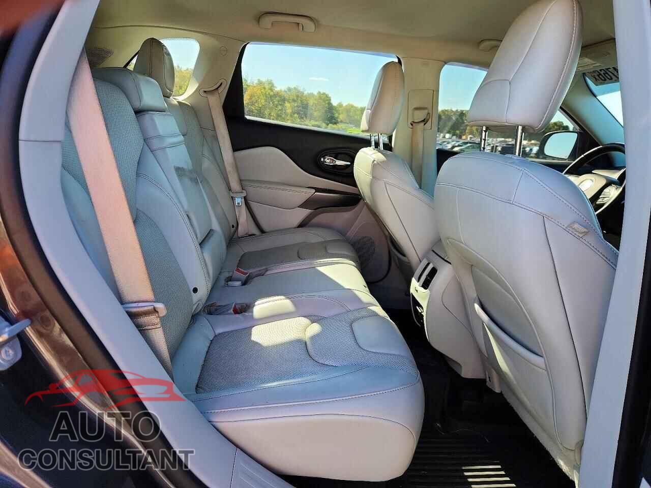 JEEP CHEROKEE 2019 - 1C4PJMDX3KD260866