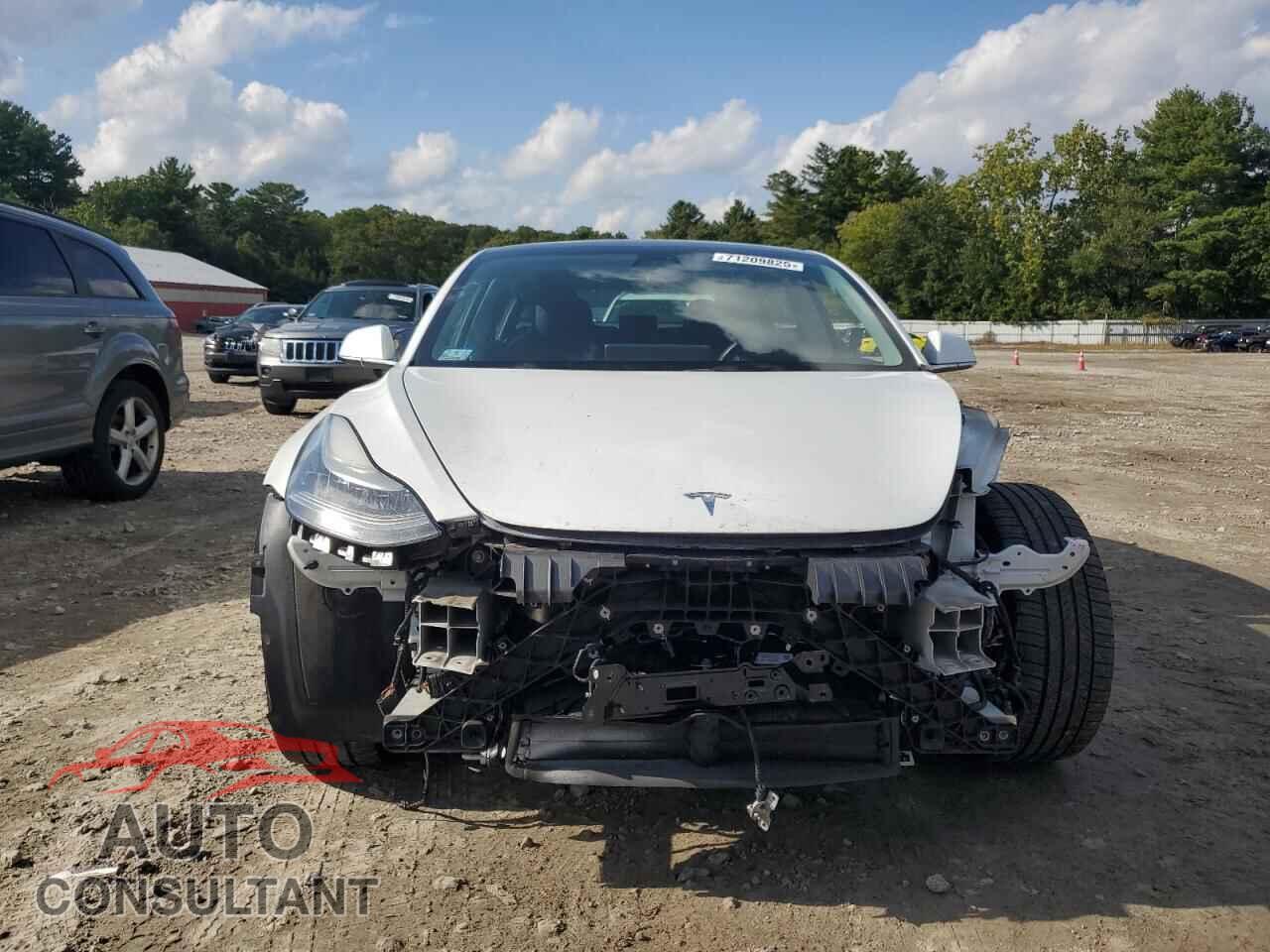 TESLA MODEL 3 2019 - 5YJ3E1EB8KF511894