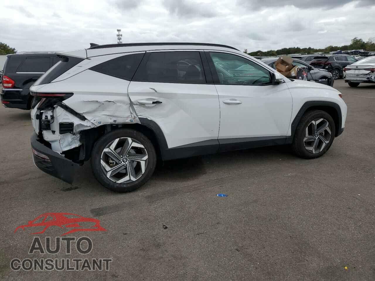 HYUNDAI TUCSON 2024 - 5NMJECDE4RH395102