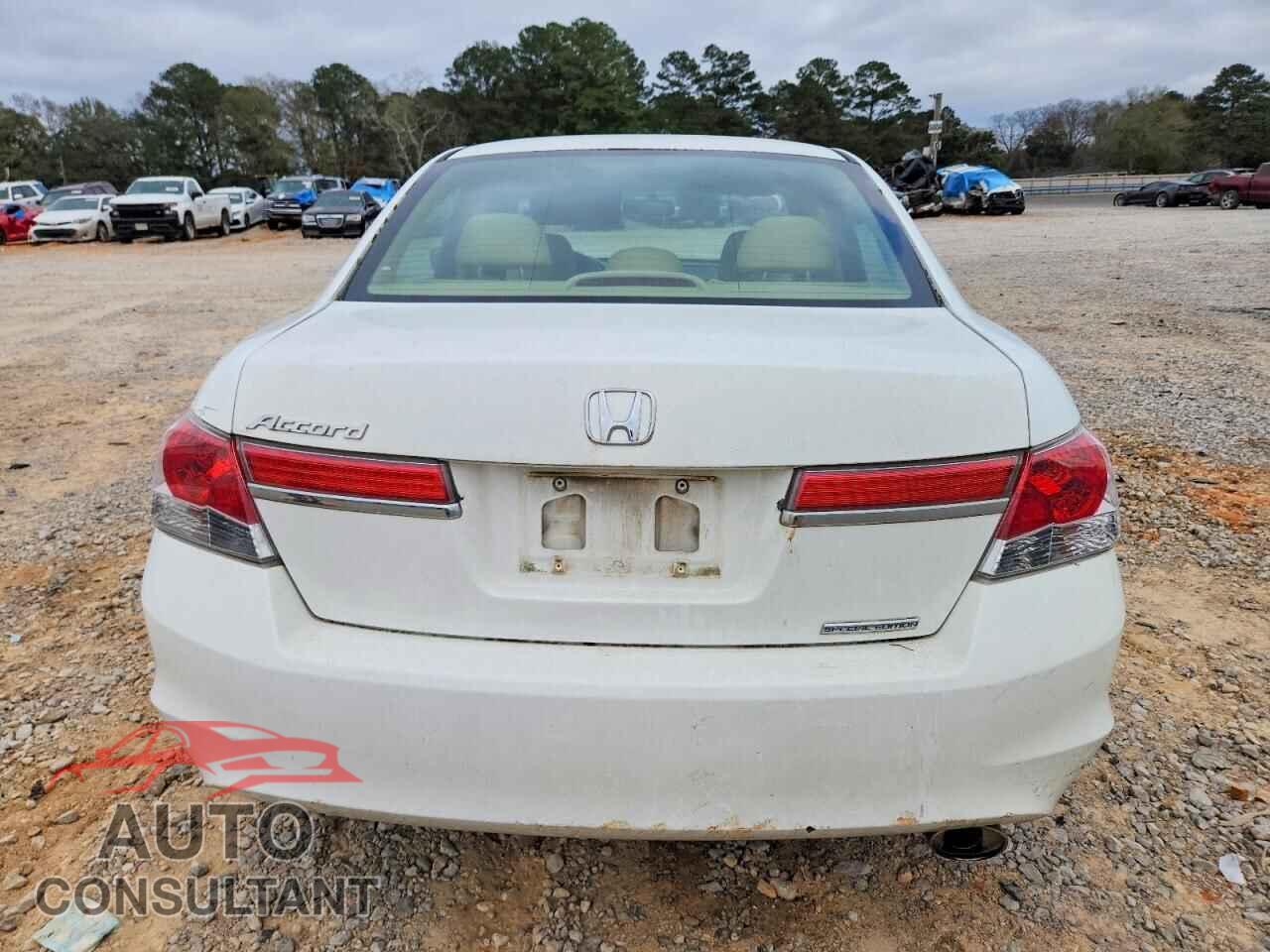 HONDA ACCORD 2011 - 1HGCP2F61BA049531