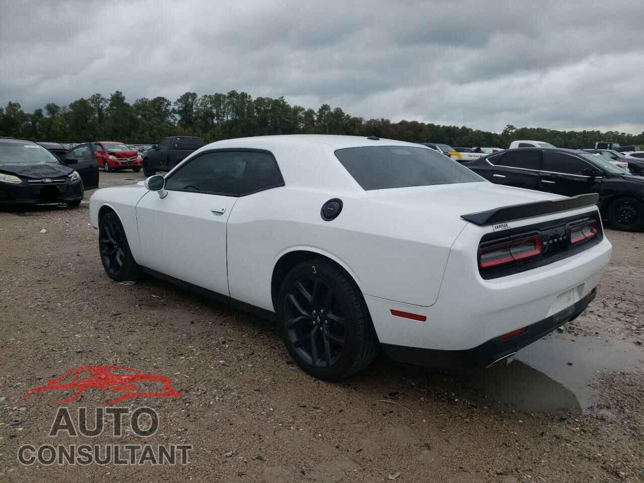 DODGE CHALLENGER 2019 - 2C3CDZAG7KH717046