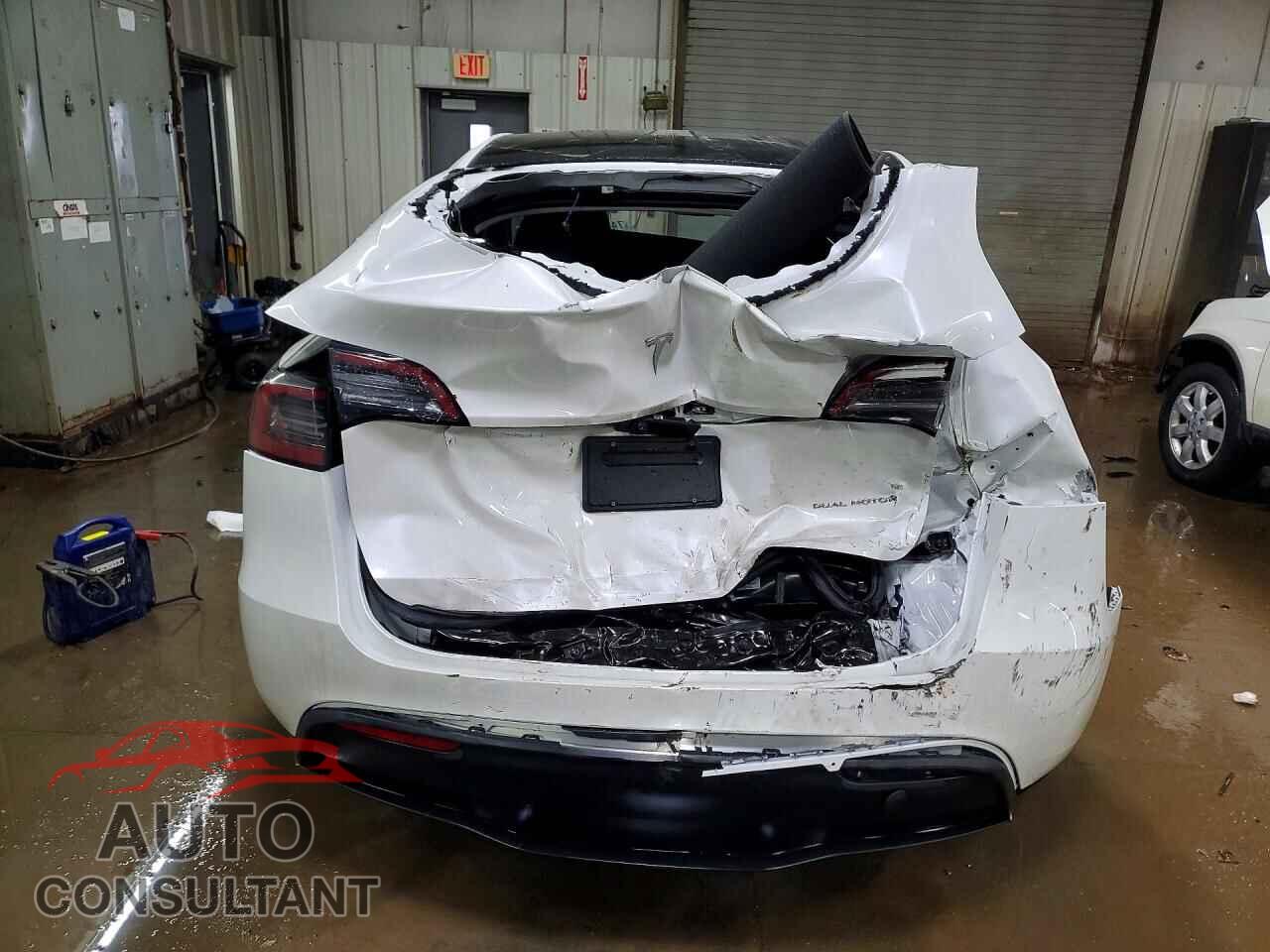 TESLA MODEL Y 2024 - 7SAYGAEE5RF167531