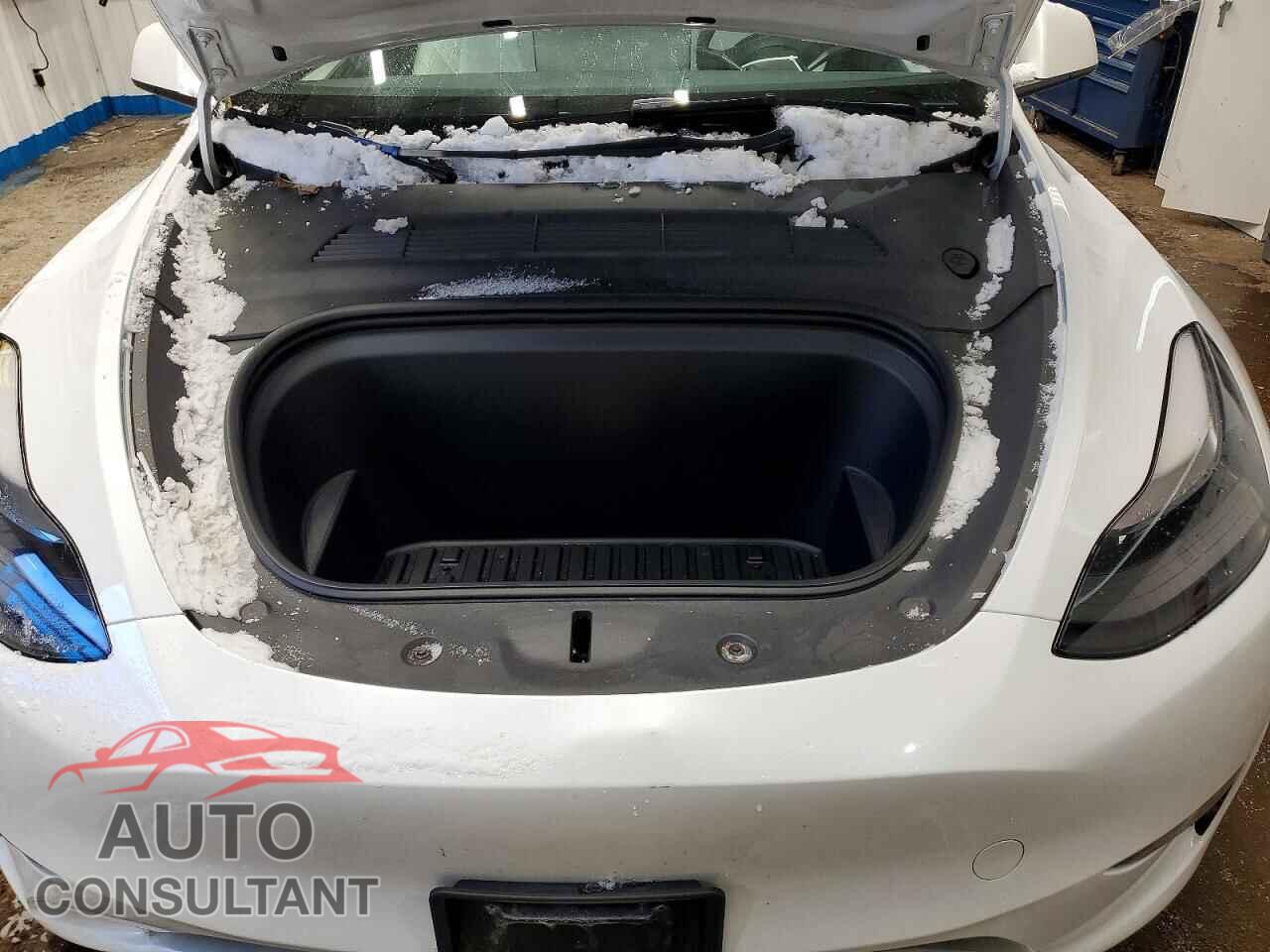 TESLA MODEL Y 2023 - 7SAYGAEE8PF756649