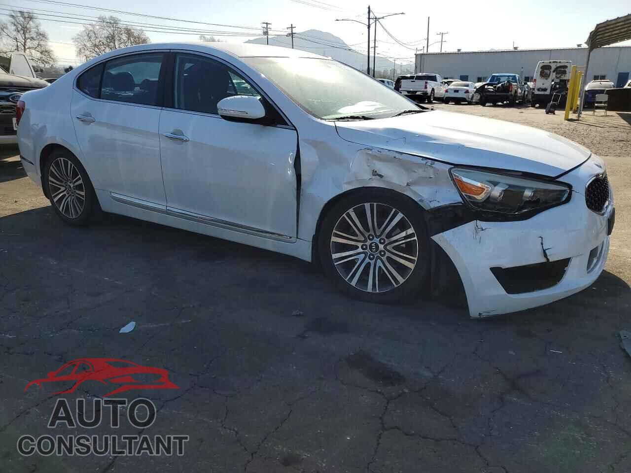 KIA CADENZA 2014 - KNALN4D70E5120742