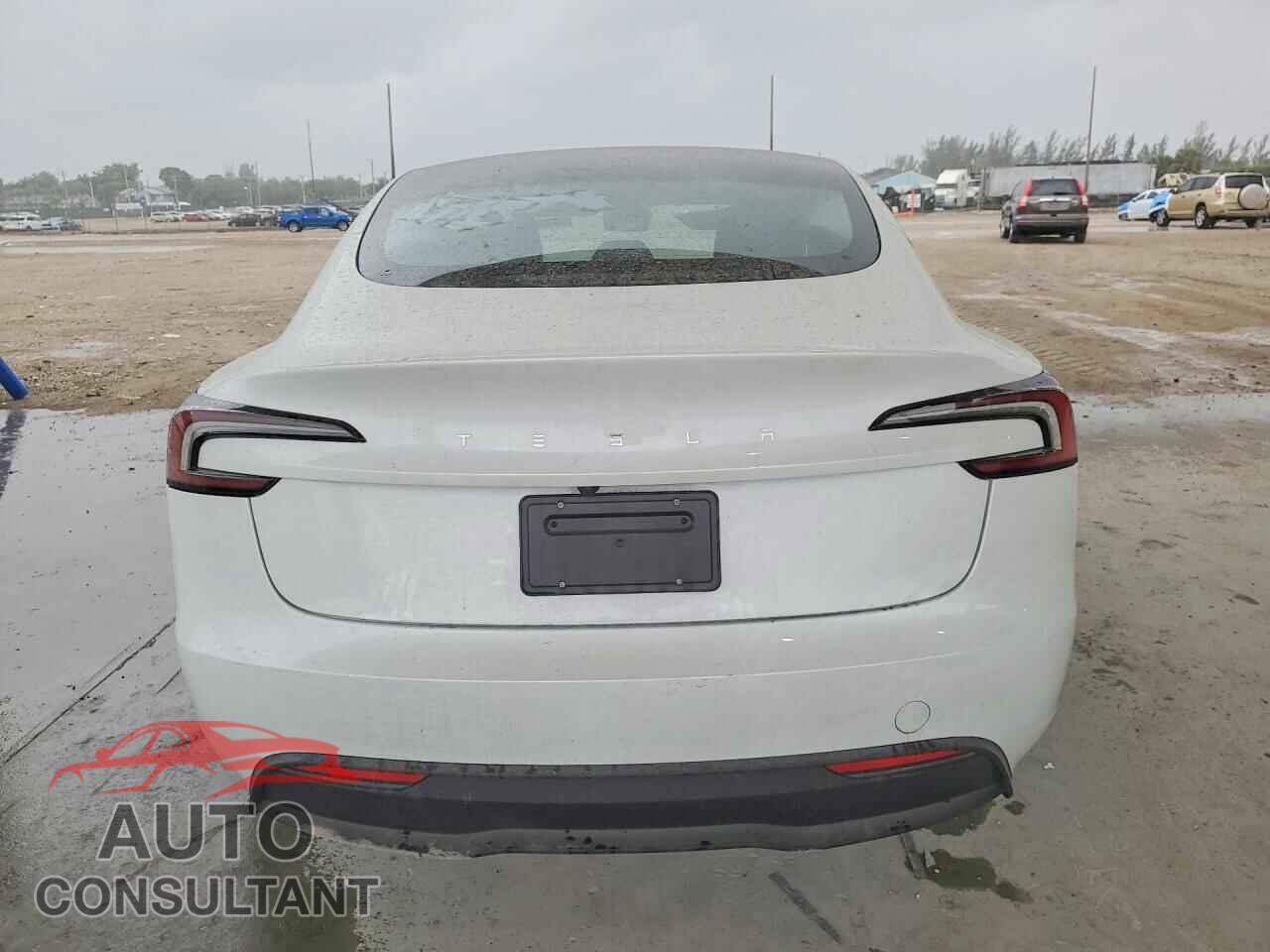 TESLA MODEL 3 2025 - 5YJ3E1EA5SF062004