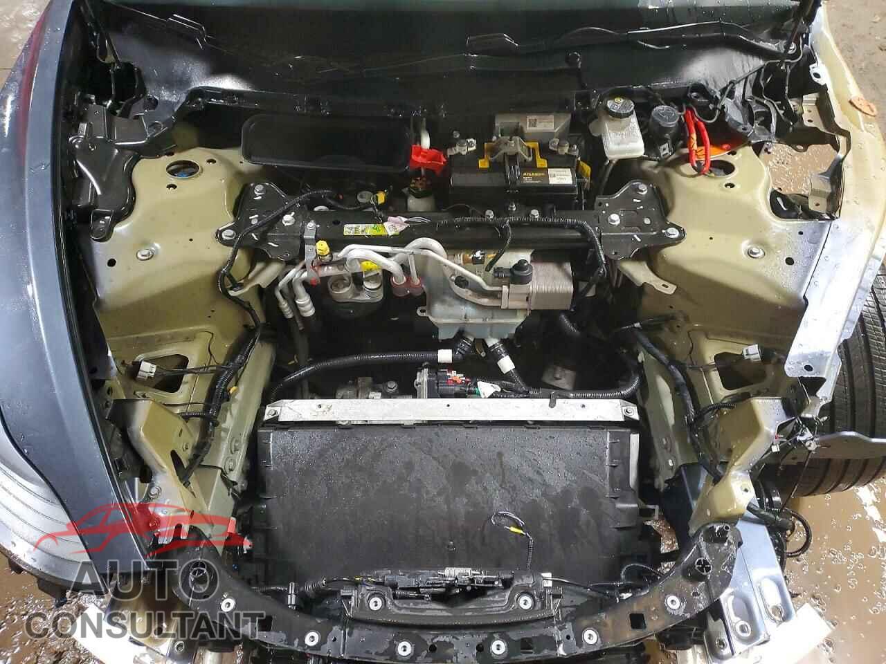 TESLA MODEL 3 2019 - 5YJ3E1EA0KF449432